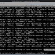 J4psh With Oracle WebLogic Basic Commands Enable VerboseGC Withouth Server Restart