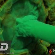 FumeFX 3 0 Released CGMeetup CGMeetup