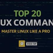 Mastering Linux Top 20 Essential Linux Commands
