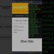 Server Side Include SSI Injection Cyber Bug Hacker