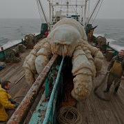 30 LARGEST Animals And Creatures Ever Caught On Camera Part 4