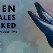 When Whales Walked Journeys In Deep Time 2019 Full Documentary