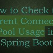 How To Check The Current Connection Pool Usage In Spring Boot