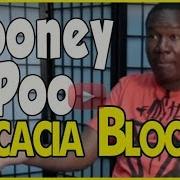ATF Alliance History Acacia Blocc Spook Town And Farm Dog Compton Crip Pt 2