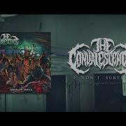 The Convalescence I Won T Survive