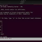 Python Django Backend Mysql Container Docker