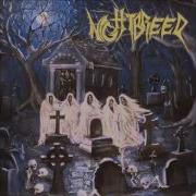 Nightbreed In The Mouth Of Madness