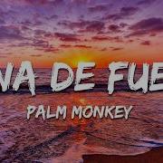 Palm Monkey Luna De Fuego Lyrics