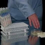 Q Swab Environmental Sample Collection Swab