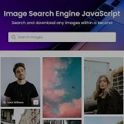 Create Image Search Engine In HTML CSS JavaScript Functional Image Gallery HTML CSS JavaScript