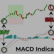 The MACD Indicator For Beginners Become An Expert Immediately
