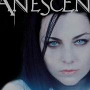 Evanescence Farther Away Karaoke