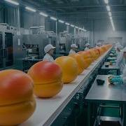 Inside An Apricot Jam Factory Turning Fresh Fruit Into Thick Jam Full Process