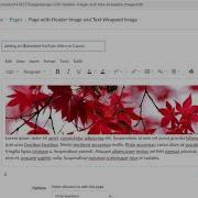 Adding An Embedded YouTube Video To A Canvas Page