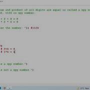 Spy Number In Python