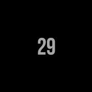 29 Second Timer Basic No Sound