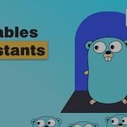 Variables Types And Constants