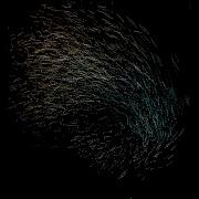 Boids Simulation Unity