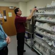 Two Bin Supply System At St Clair Hospital