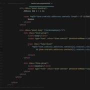 Angular 2 Forms And Validation Lesson17 Address Template Validation