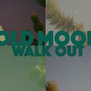 Cold Moon Walk Out