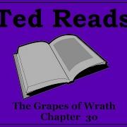 The Grapes Of Wrath John Steinbeck Chapter 30