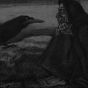 Forest Raven 2005