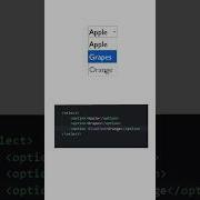 HTML Attributes Shorts Html Htmlattributes Shorts