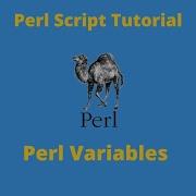 Variables In Perl Script Perl Script Basics Tutorial Part 5