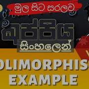 Polymorphism Example Object Oriented Programming OOP Sinhala Tutorial Part 13