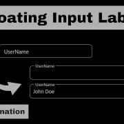 Create A Floating Input Label Using HTML And CSS CSS Tutorial