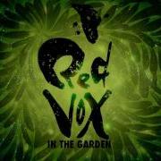 Red Vox In The Garden