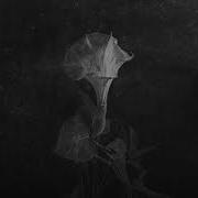 Naenia Dirge Full EP