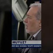 Arap Harfleriyle Yazılmış Hiçbir Türkçe Belgenin Linguistik Değeri Yoktur