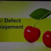 QA Defect Management Best Practices