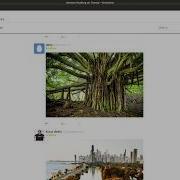 How To Create Build A Twitter Social Network Clone From Scratch PHP MySQL JavaScript Html CSS