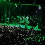 Leftover Crack Homeo Apathy