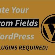 Create Custom Fields In WordPress Without Plugin