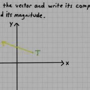 Vectors And Translations
