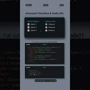 Animated Checkbox Radio Button CSS Tutorial Cool Hover Effects Step By Step Cssanimation