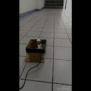 Group 1 2019 Monkey Detector