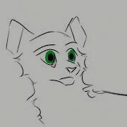 Boreas Warrior Cats AMV WIP
