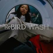 ReBIRD WASH REPAIR