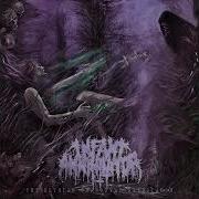 Unholy Gravebirth
