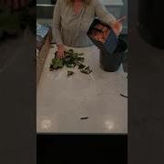 How To Process Wholesale Roses