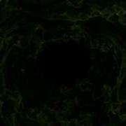 Trapcode Mir Test