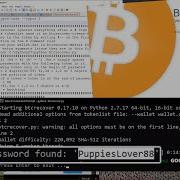 Let S Try To Bruteforce A Bitcoin Wallet With Btcrecover Or Hashcat Non Spendable Watch Only