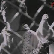 Beyond 光辉岁月 Guang Hui Sui Yue Lyrics And Translation