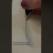 Microblading Training For Beginners