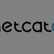 Netcat Bind And Reverse Shell